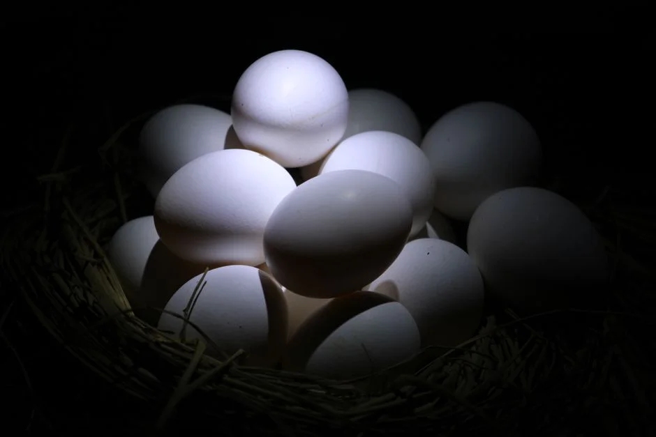 nesting product image