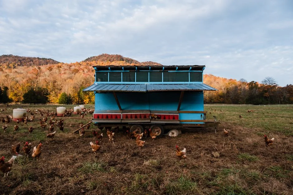 tractors product image